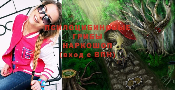 а пвп мука Алзамай