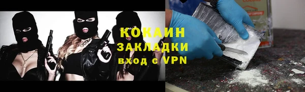 кокс Алексин