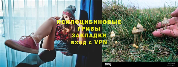 а пвп мука Алзамай