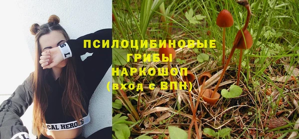 а пвп мука Алзамай